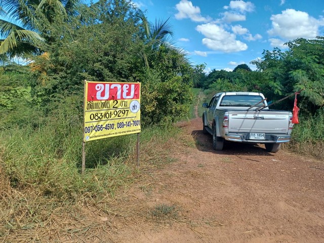 ขายด่วน ที่ดินเปล่าราคาถูก 200 ตารางวา   ถมแล้ว  ต.พรหมพิราม อ.พรหมพิราม จ.พิษณุโลก   ZK221