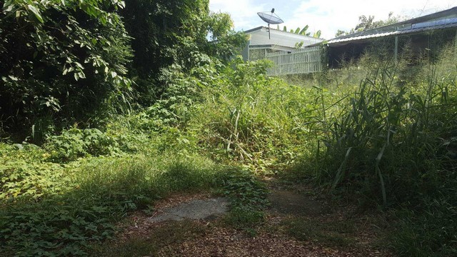 ขายที่ดินเปล่า 80 ตร.วา ติดถนนหลักเข้า กทม. ใจกลางอำเภอท่าม่วง จ.กาญจนบุรี  ZB028