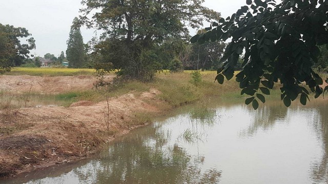 ขายที่ดินเปล่า  4-1-92 ไร่ ซอยห้วยตลุง ซอย 2  ใกล้ถนนเลียบมอเตอร์เวย์ กาญจนบุรี-บางใหญ่   ZB026