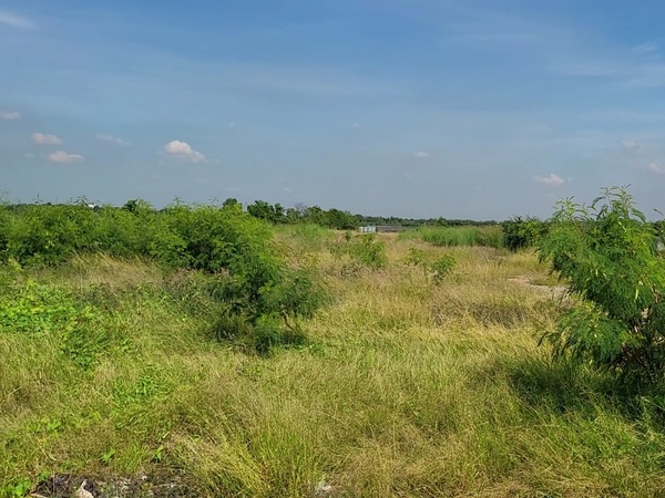  ขายที่ดินถมแล้ว 3 ไร่ 4 ตารางวาต.บ้านคลองสวน อ.พระสมุทรเจดีย์*** ราคา 18,600,000 บาท ***ตารางวาละ 15’500 บาทพิกัด https://goo.gl/maps/9ob1VfUqPRSSVepp8หน้ากว้างติดถนนประมาณ 66 เมตร ลึกประมาณ 74 เมตรทำเลอยู่ใกล้แหล่งชุมชน  ใกล้โรงเรียน ใกล้วัด แหล่งท่องเที่ยวใกล้มหาวิทยาลัย มีโครงการหมู่บ้านอยู่ใกล้ๆ หลายโครงการบรรยายกาศดีเงียบสงบ เหมาะสำหรับสร้างร้านอาหาร คาเฟ่ ฯลฯ เข้าออกได้หลายเส้นทางจุดเด่