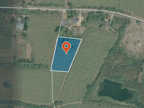 ขายที่ดิน ขนาด 3 ไร่ 14 ตารางวา ที่อยู่ ต.บ่อสุพรรณ อ.สองพี่น้อง จ.สุพรรณบุรี