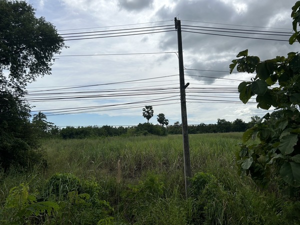 ขายที่ดินแปลงสวย ติดถนนหลักศรีสัชนาลัย-อุตรดิตถ์ ตำบลดงคู่ อำเภอศรีสัชนาลัย จังหวัดสุโขทัย