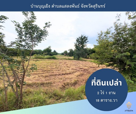 ขายที่ดิน พื้นที่ 2 ไร่ 1 งาน 18 ตร.ว. บ้านบุญเยิง ต.แสลงพันธ์ อ.เมือง จ.สุรินทร์ เหมาะกับสร้างที่อยู่อาศัย ทำโครงการบ้านขาย หรือซื้อเก็บ