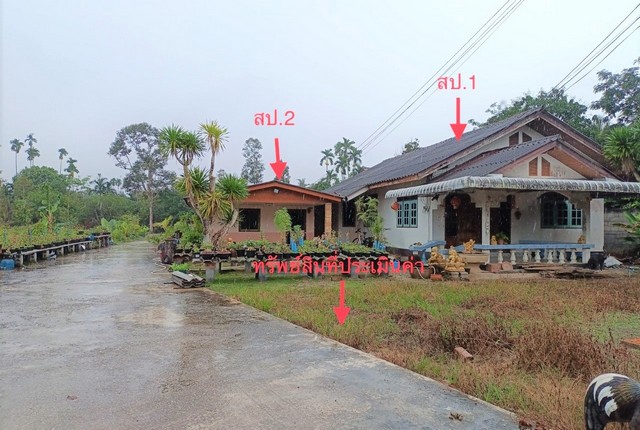  รายละเอียดเพิ่มเติม Code ID : PKK02-15108  ราคาขาย 1,668,000  บาท- ขนาดพื้นที่ :   300.00 ตร.ว.- พื้นที่ใช้สอย :  93.00 ตร.ม. - จำนวนห้อง :  2 ห้องนอน 1 ห้องน้ำ  - ที่จอดรถ :    1   คัน- บ้านหันทางทิศ : ตะวันออกเฉียงเหนือ พิกัดทรัพย์ : https://maps.app.goo.gl/HyjG6rxQ8REXHdUeA    สถานที่ใกล้เคียง- ใกล้โรงพยาบาลบ้านนาสาร- ใกล้Tesco LOTUS EXPRESS ทุ่งเตา สุราษฎร์ธานี  - ใกล้ Top ทุ่งเตา  - ใกล้คลีนิคชีพสุมนและผดุงครรภ์ โรงพยาบาลมะเร็งสุราษฎร์ธานี สอบถามเพ