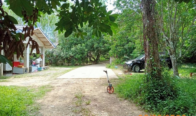 รายละเอียดเพิ่มเติมCode ID : PKK02-10102ราคาขาย      1,911,000 บาท- ขนาดพื้นที่ :   232.20 ตร.ว (2 งาน / 32.20 ตร.ว) - พื้นที่ใช้สอย :    19 ตร.ม- จำนวนห้อง :  - ห้องนอน 1 ห้องน้ำ- ที่จอดรถ :     1-2 คัน- บ้านเดี่ยว :        1 ชั้น- บ้านเดี่ยวหันทางทิศ : -- อายุอาคาร :    20 ปีพิกัดทรัพย์ :  https://maps.app.goo.gl/pAGowUYuJXcPWRKv8สถานที่ใกล้เคียง- ใกล้โรงเรียนบ้านหนองทะเล- ใกล้โรงเรียนประทีปศึกษา- ใกล้โรงเรียนมุสลิมนพรัตน์วิทยา- ใกล้โรงเรียนบ้านเขากลมส�