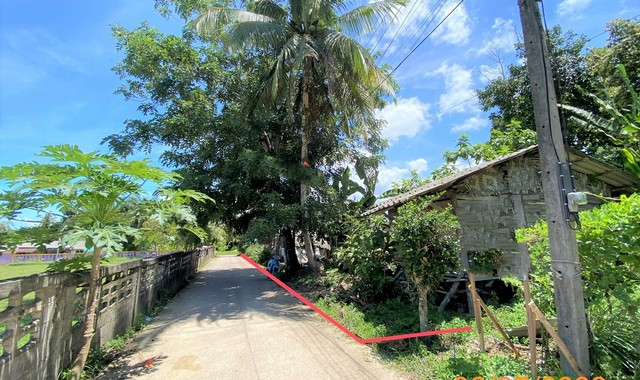 รายละเอียดเพิ่มเติมCode ID : PKK02-15415ราคาขาย      1,729,000 บาท- ขนาดพื้นที่ :  178.80 ตร.ว (1 งาน / 78.80 ตร.ว)- พื้นที่ใช้สอย :    60 ตร.ม- จำนวนห้อง : 1 ห้องนอน 2 ห้องน้ำ- ที่จอดรถ :    1-2 คัน- บ้านเดี่ยว :        1 ชั้น- บ้านเดี่ยวหันทางทิศ : -- อายุอาคาร :    30 ปีพิกัดทรัพย์ :   https://maps.app.goo.gl/sMegvH5Bpf9e4zUFAสถานที่ใกล้เคียง- ใกล้โลตัส โกเฟรช ซูเปอร์มาร์เก็ต เหนือคลอง- ใกล้โรงพยาบาลเหนือคลอง- ใกล้ตลาดเช้าเหนือคลอง (ท้ายตลาด)- ใกล้โรงเร�