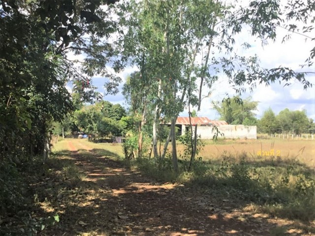 รายละเอียดเพิ่มเติมCode ID : PKK02-15627ราคาขาย       2,681,000 บาท- ขนาดพื้นที่ :  2,000 ตร.ว (5 ไร่)- พื้นที่ใช้สอย :  328 ตร.ม- จำนวนห้อง :   2 ห้องนอน 4 ห้องน้ำ- จอดรถ :     1-2 คัน- บ้านเดี่ยว :     1 ชั้น- บ้านเดี่ยวหันทางทิศ :- อายุอาคาร :    11 ปีพิกัดทรัพย์ :     https://maps.app.goo.gl/BZwVFccrYGkFH7sJAสถานที่ใกล้เคียง- ใกล้โลตัส สว่างแดนดิน- ใกล้โรงเรียนหนองหลวงศึกษา- ใกล้วัดป่าชุมชัยแสงพันธ์- ใกล้วัดท่าวารีวนารามสอบถามเพิ่มเติม/นัดชมโ�