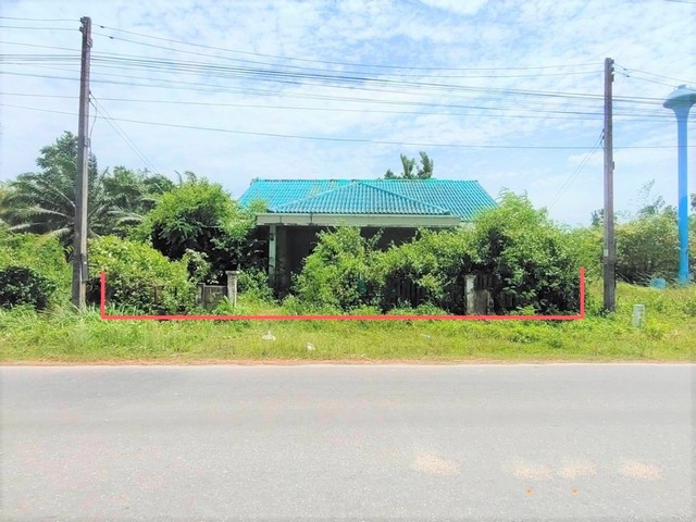 รายละเอียดเพิ่มเติมCode ID : PKK02-11871ราคาขาย        1,715,000 บาท- ขนาดพื้นที่ :  58 ตร.ว   - พื้นที่ใช้สอย :   204 ตร.ม- จำนวนห้อง :    2 ห้องนอน 2 ห้องน้ำ - ที่จอดรถ :     1-2 คัน- บ้านเดี่ยว :       1 ชั้น- บ้านเดี่ยวหันทางทิศ : -- อายุอาคาร :     13 ปีพิกัดทรัพย์  :    https://maps.app.goo.gl/6RPkkbvSykcz8HAU9สถานที่ใกล้เคียง- ใกล้โลตัส โกเฟรช ซูเปอร์มาร์เก็ต เหนือคลอง- ใกล้โรงพยาบาลเหนือคลอง- ใกล้โรงเรียนอนุบาลมาเรียม- ใกล้โรงเรียนบ้านควนสอบถ