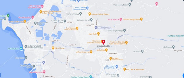 ขายที่ดิน เกาะสมุย 3 ไร่ 38 ตารางวา ใกล้ตลาด ติดถนนหลัก ใกล้สิ่งอำนวยความสะดวก