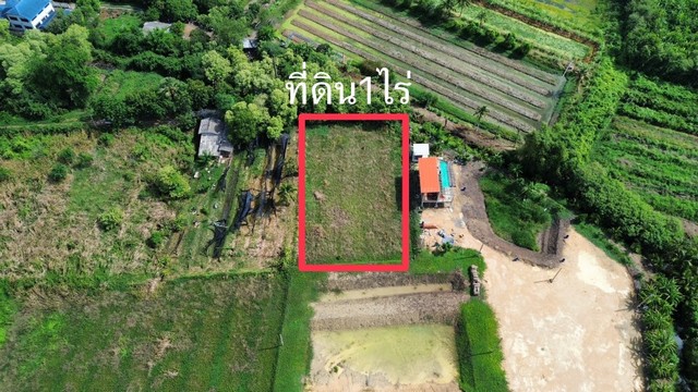 TD555ขายที่ดินแปลงงาม :  นครปฐมLand With Building Sale  :  Nakhon PathomFor Sale : 1,450,000 THBทำเลที่ตั้ง :  หมู่ 5 ตำบลสัมปทวน อำเภอนครชัยศรี นครปฐม 73120รายละเอียดทรัพย์ ที่ดินเปล่า พื้นที่ 1 ไร่บรรยากาศดีเหมาะสำหรับ ทำโคกหนองนา ขุดบ่เลี้ยง ทำบ้านเล็กๆใว้พักผ่อนสถานที่สำคัญใกล้เคียงโลตัส นครชัยศรี, ตลาดท่านาโรงเรียนเดชอนุสรณ์โรงพยาบาลนครชัยศรีข้อมูลเพิ่มเติม/สนใจนัดชม0646654666 Khun.Kreing ( เกรียง )0801532451Line : @land666 (มี @