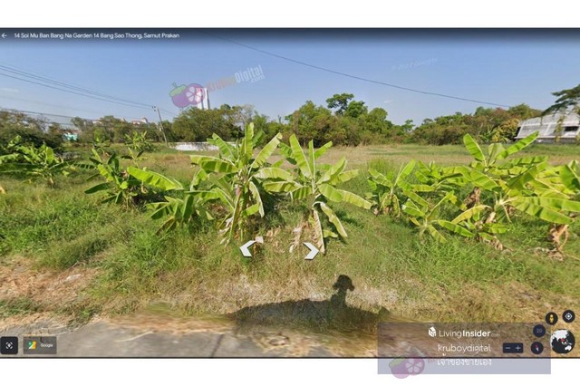 TD553  ขายที่ดินแปลงงาม       :          สมุทรปราการ