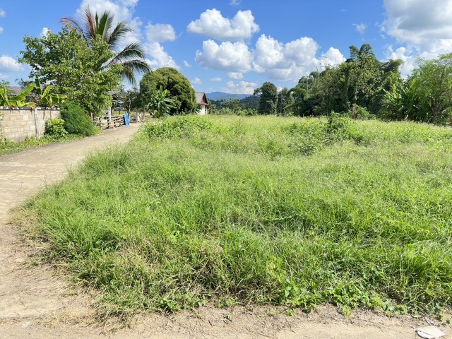 ขายที่ดินเนื้อที่ 91 ตารางวา บ้านสบห้วย หมู่ 1 ตำบลจอมหมอกแก้ว อำเภอเมือง จังหวัดเชียงราย สถานที่ใกล้เคีบงก่อนถึงปากทางแม่สรวย 1.5 กิโลห่างจากถนนหลัก 700 เมตรเอกสารสิทธิ์โฉนดครุฑแดง โอนได้เลยราคา 390,000 บาทสนใจโทร 081-8843417 LINEไอดี Aoytaykoko เจ้าของขายเองไม่ผ่านนายหน้าพิกัด ตำบลจอมหมอกแก้ว อำเภอเมือง จังหวัดเชียงราย 