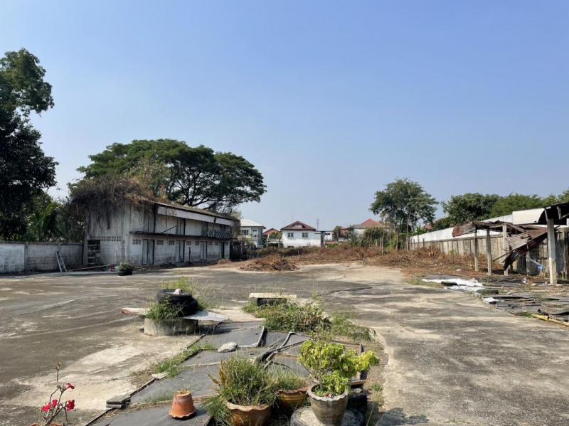 EPL-LS0267 ขายที่ดินถมแล้ว 3 ไร่ติดถนนใหญ่ ย่านบางกรวย-ไทรน้อย บางบัวทอง หน้ากว้างติดถนน 45 เมตร ความลึก 120 เมตร ใกล้วัดเล่งน่ยยี่ 2 ใกล้MRT บางพลู ขาย 85,000 บาทต่อตารางวา: ติดต่อ : คุณ เอก  :  061-241 4954   &   083-017 9463   : Line Id : eak2325: กดลิ้งค์เพื่อเเอดไลน์ครับ :  https://line.me/ti/p/A6pc3MToug     :  https://line.me/ti/p/OLEY0bJTsVราคาขาย 85,000 บาท / ตารางวา ( ค่าใช้จ่ายในโอนคนละครึ่ง )ที่ตั้ง ถนนบางกรวย - ไทรน้อย ตำบล บางรักพัฒนา อำเภอบางบัวทอง นนทบ�