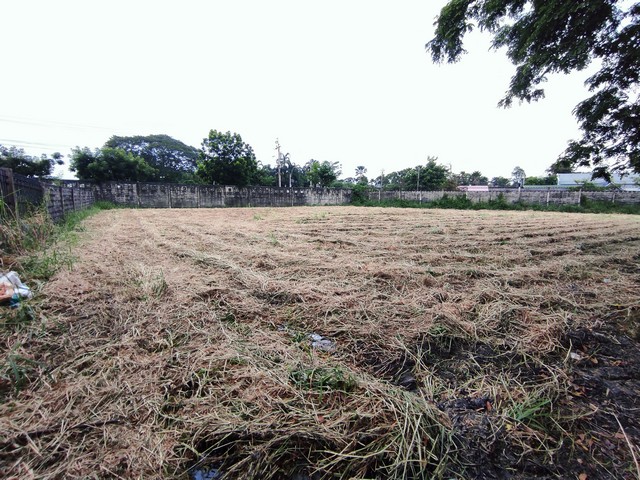 ขายด่วน ที่ดินเปล่า หมู่บ้านปัญญาอินทรา เฟส 9ที่ดินอยู่ด้านหน้าหมู่บ้าน แปลงมุม รูปสี่เหลี่ยมคางหมูรายละเอียด:- ขนาด 1-1-13 ไร่ (511 ตรว.) ที่ดินสีเหลือง ย.3- ความยาวแต่ละด้านโดยประมาณ 35 เมตร, 42 เมตร, 57 เมตร, 50 เมตร- ขาย 29,241,000 บาท (57,000 บาท/ตรว.)สถานที่ใกล้เคียง:- สนามกอล์ฟปัญญาอินทรา- แฟชั่นไอส์แลนด์- สยามอะเมสซิ่งพาร์ค- ชอคโกแลต วิลล์- โรงพยาบาลสินแพทย์ รามอินทรา*****************************************ต