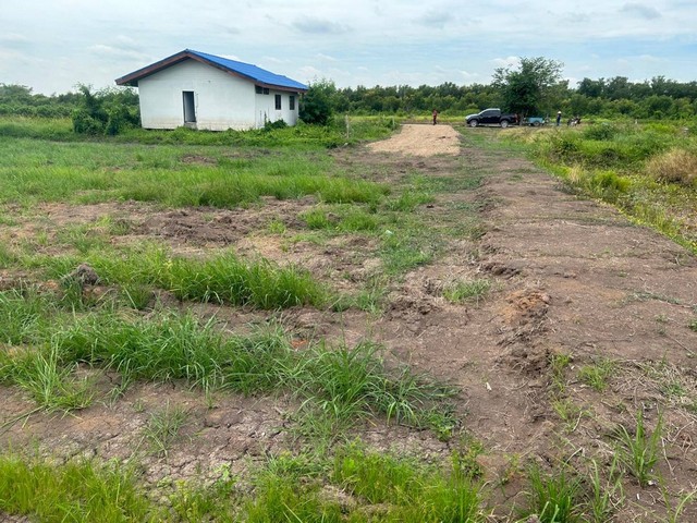 #ที่ดินคลอง6 อ.คลองหลวง ปทุมธานี ขนาดเนื้อที่ 1-3-57 ไร่