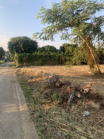 ขายด่วน ที่ดินถมแล้ว ใกล้ตัวเมืองจังหวัดนครนายก ที่ดินอยู่ในซอยนครนายกรังสิต 5เนื้อที่ 2ไร่ 19 ตารางวาขายตารางวาละ 9500บาท เหมาะสร้างทาวน์เฮ้าส์ บ้านพักอาศัย อพาร์ตเมนต์ ใกล้ตัวเมืองใกล้โรงเรียนสนใจติดต่อสอบถามรายละเอียดติดต่อ 081-7525268พิกัด: ตำบลท่าช้างอำเภอเมืองนครนายก จังหวัดนครนายก https://maps.app.goo.gl/zNVFXvLwZRv5wkBJ7?g_st=il