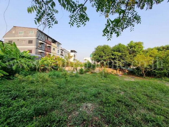 P1 ที่ดินเปล่า ถมแล้ว 8 ปี อ่อนนุช 66 สุขุมวิท 77 ใกล้ MRT สายสีเหลือง