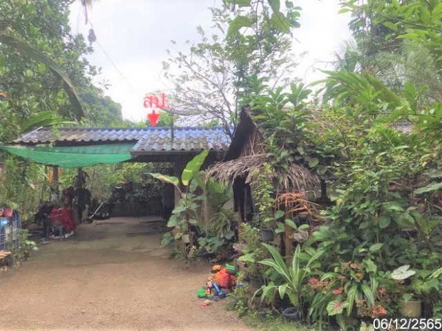  รายละเอียดเพิ่มเติม Code ID : PKK02-08756  ราคาขาย 950,000  บาท- ขนาดพื้นที่ :   89.40 ตร.ว.- พื้นที่ใช้สอย :  82.00 ตร.ม. - จำนวนห้อง :  1 ห้องนอน 1 ห้องน้ำ - ที่จอดรถ :    1   คัน- บ้านหันทางทิศ : ตะวันตกเฉียงเหนือ พิกัดทรัพย์ : https://maps.app.goo.gl/JoWZ3psbfzYKrhfD7    สถานที่ใกล้เคียง- ใกล้ซุปเปอร์ชีป บางสวรรค์ - ใกล้โรงพยาบาลส่งเสริมสุขภาพตำบลตำบลตำบลบางสวรรค์  - ใกล้ร้าน 421 ค้าปลีกค้าส่ง- ใกล้บ้านบางสวรรค์ สุราษฎร์ธานี สอบถามเ�