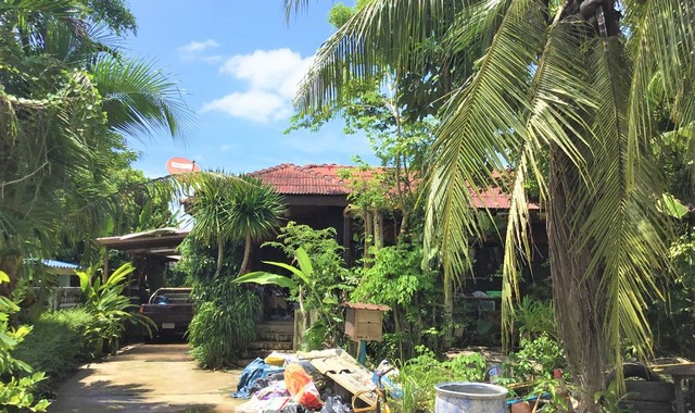 รายละเอียดเพิ่มเติมCode ID : PKK02-15026ราคาขาย         3,761,000 บาท- ขนาดพื้นที่ :    113 ตร.ว (1 งาน / 13 ตร.ว) - พื้นที่ใช้สอย :     174.50 ตร.ม- จำนวนห้อง :  2 ห้องนอน 2 ห้องน้ำ- ที่จอดรถ :      1-2 คัน- บ้านเดี่ยว :        1 ชั้น- บ้านเดี่ยวหันทางทิศ : -- อายุอาคาร :    12 ปีพิกัดทรัพย์ :   https://maps.app.goo.gl/r6otcYqfnPFCsKDB7สถานที่ใกล้เคียง- ใกล้แม็คโคร อ่าวนาง- ใกล้แม็คโครกระบี่- ใกล้โลตัส โกเฟรช ซูเปอร์มาร์เก็ต อ่าวนาง- ใกล้โรงเรียนบ้านแหลมโพธิ์�