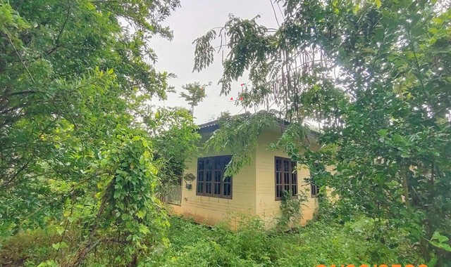 รายละเอียดเพิ่มเติมCode ID :   PKK02-13951ราคาขาย              2,493,000 บาท- ขนาดพื้นที่ :   371 ตร.ว (3 งาน / 71 ตร.ว) - พื้นที่ใช้สอย :   127.60 ตร.ม- จำนวนห้อง :    2 ห้องนอน 3 ห้องน้ำ- ที่จอดรถ :   1-2 คัน- บ้านเดี่ยว :      1 ชั้น- บ้านเดี่ยวหันทางทิศ : -- อายุอาคาร :   16 ปีพิกัดทรัพย์ :   https://maps.app.goo.gl/T98TJKqotQPC6zBV6สถานที่ใกล้เคียง- ใกล้ตลาดเกษตรกรจังหวัดกระบี่- ใกล้มินิบิ๊กซี​ ปั้มเชลล์​ แยกตลาดเก่า - ใกล้โลตัส โกเฟรช ตลาดเก่า - ใกล้บิ๊กซี