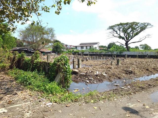 EPL-LS0269 ขายที่ดิน ซอยกรุงเทพกรีฑา 18 ขนาดที่ดิน 1 ไร่ 3 ตารางวา  ใกล้ร.ร.นานาชาติเวลลิงตัน ใกล้มอเตอร์เวย์ เดินทางเชื่อมต่อไปพระราม 9 ศรีนครินทร์ รามคำแหง พัฒนาการ : ติดต่อ : คุณ เอก  :  061-241 4954   &   083-017 9463   : Line Id : eak2325: กดลิ้งค์เพื่อเเอดไลน์ครับ :  https://line.me/ti/p/A6pc3MToug     :  https://line.me/ti/p/OLEY0bJTsVราคาขาย 27,000,000 บาท รวมโอน ต่อรองได้ที่ตั้ง ซอยกรุงเทพกรีฑา 18 แขวงทับช้าง เขตสะพานสูง กรุงเทพมหานคร 10250ขายที่ดิน 1 ไร่ 3 �