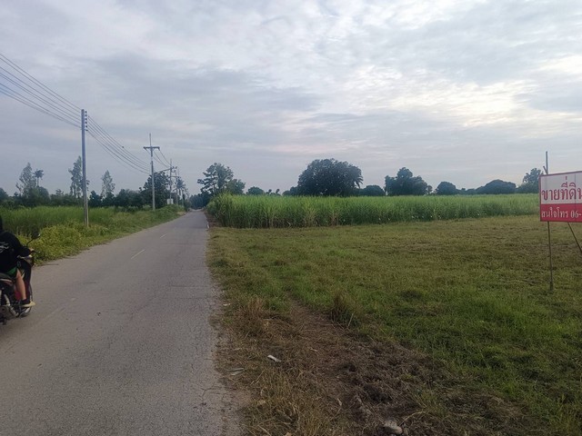 ขายที่ดิน 8 ไร่ ไร่ล่ะ 1,000,000฿ ใกล้โรงงาน SCG  อ.ท่าม่วง จ.กาญจนบุรี