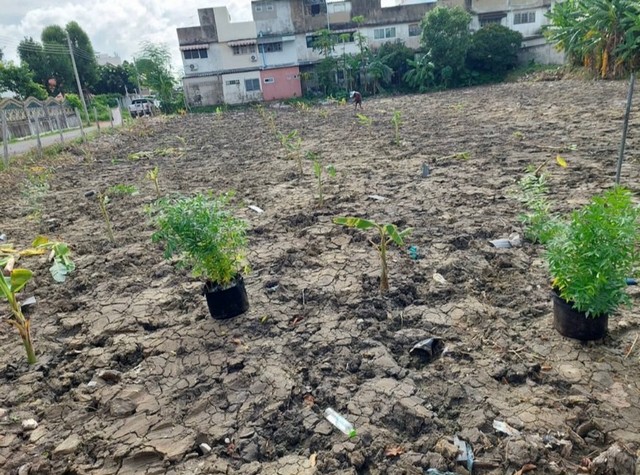 ขายด่วน ที่ดินสวย ถนนนวมินทร์ ซอยนวมินทร์ 88 เเขวงรามอินทรา เขตคันนายาว