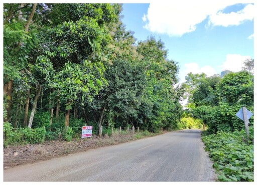 ขายที่ดิน เนื้อที่ 9 ไร่ 1 งาน 98 ตารางวา พร้อมต้นสักทองอายุ 20 กว่าปีโฉนดครุฑแดง ติดถนนดำ ใกล้ดอยสะโง้ น้ำ-ไฟ เข้าถึง————————————————ลักษณะเด่น  – ติดถนนดำ  – ที่เนิน มีวิวภูเขา และทุ่งนา  – ใกล้ชุมชน เดินทางสะดวก  – ต้นสักทองเต็มพื้นที่ อายุประมาณ 20 กว่าปี  – ใกล้ทางขึ้นดอยสะโง้———————————————— สถานที่ตั้ง : : เข้าซอยหมู่บ้านป่ายาง ต. อ.เชียงแสน จ.เชียงราย พิกัด : : https://