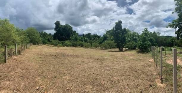 โซนสันกำแพง ที่ดินวิวภูเขา ขาย 2.1 ล้าน ที่ดิน 2 ไร่ ขายยกแปลง ถนนลาดยาง มีคลองชลประทาน ด้านข้างติดลำน้ำเหมืองธรรมชาติ