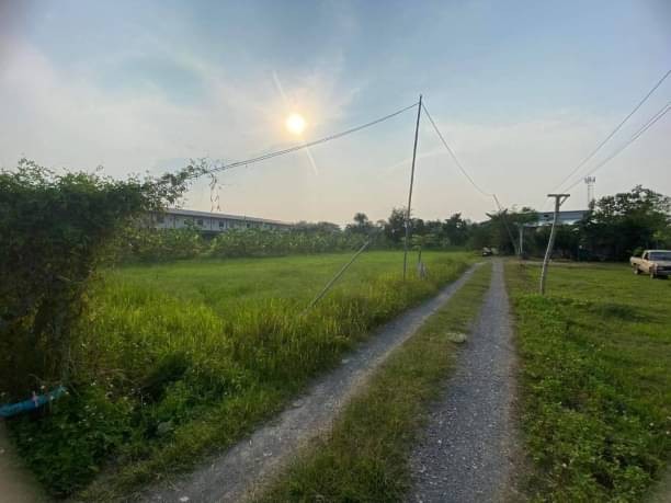 ขายที่ดินยกแปลง 3.5 ล้าน เนื้อที่ 1 ไร่ 52 ตรว. #โซนสันกำแพง #เดินทางสะดวกออกได้ทั้งถนนสันกำแพงสายเก่าและถนนสันกำแพงสายใหม่
