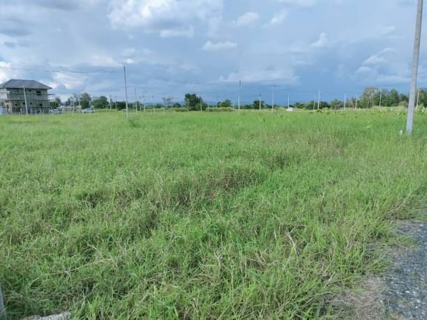 ขายที่ดิน 450,000 บาท 56 ตรว. สันปูเลย ดอยสะเก็ด ขายเท่าทุน #โอนฟรี #ใกล้ตลาดท่ารั้ว