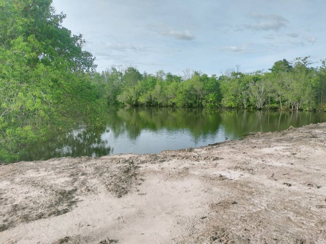 ที่ดินติดแม่น้ำประแสร์ 36 ไร่ถมแล้วบางส่วน บรรยากาศดี