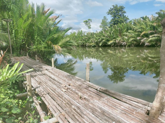 ขายที่ดินติดคลองประแสร์ริมน้ำเขตแหลมท่าตะเคียน เกือบ 2 ไร่ เขตอ.แกลง ระยอง