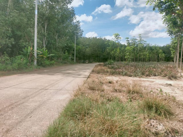 ขายสวนยางติดถนนคอนกรีตยาวมาก 9ไร่ เขตบ้านนา อ.แกลง จ.ระยอง