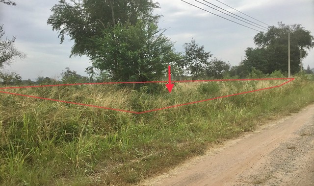 ขายที่ดินว่างเปล่าใกล้โรงพยาบาลส่งเสริมสุขภาพชีวาศรม อ.หัวหิน จ.ประจวบคีรีขันธ์ PKK01-11663