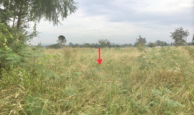 ขายที่ดินว่างเปล่าใกล้โรงพยาบาลส่งเสริมสุขภาพชีวาศรม อ.หัวหิน จ.ประจวบคีรีขันธ์ PKK01-11663