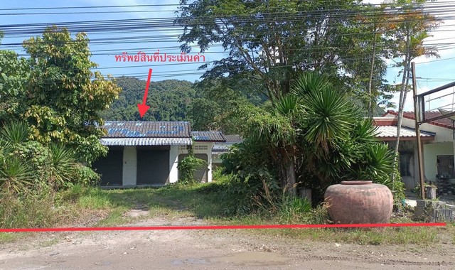  รายละเอียดเพิ่มเติม Code ID : PKK02-13438  ราคาขาย 3,847,000  บาท- ขนาดพื้นที่ :   218.00 ตร.ว.- พื้นที่ใช้สอย :  201.00 ตร.ม. - จำนวนห้อง :  2 ห้องนอน 1 ห้องน้ำ  - ที่จอดรถ :    1   คัน- บ้านหันทางทิศ : ตะวันตกเฉียงเหนือ พิกัดทรัพย์ : https://maps.app.goo.gl/LHPh9GhPWid7JuUR7    สถานที่ใกล้เคียง- ใกล้ทวีมินิมาร์ทบ้านม่วงลีบ - ใกล้โรงพยาบาลส่งเสริมสุขภาพตำบลตำบลตำบลคลองสระ - ใกล้ร้านวังไทรเกษตรภัณฑ์  - ใกล้โรงพยาบาลส่งเสริมสุขภาพตำบลตำ