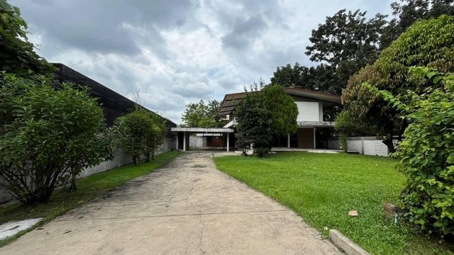 ให้เช่าบ้านเดี่ยว 200 ตารางวา รามคำแหง 21 พื้นที่กว้างขวาง เลี้ยงสัตว์ได้ เหมาะแก่การเปิดร้านอาหาร