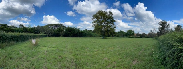 TD574  ขายที่ดินแปลงงาม :  โครงการทอสคาน่า ปากช่อง นครราชสีมา