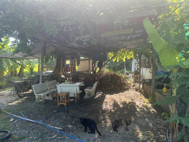 TD572  ขายที่ดินแปลงงาม :            สามพราน นครปฐม