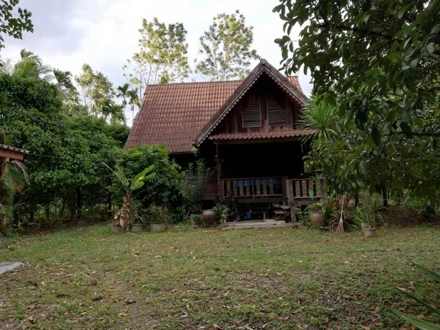 TD569ขายที่ดินแปลงงาม :  นครศรีธรรมราชLand With Building For Sale  :  Nakhon Si ThammaratFor Sale : 14,250,000 THBทำเลที่ตั้ง :  ตำบลกำโลน อำเภอลานสกา นครศรีธรรมราชรายละเอียดทรัพย์ ที่ดินพร้อมสิ่งปลูกสร้าง พื้นที่ 7 ไร่ 2 งานเรือนไม้ 6 หลัง สระน้ำเนื้อที่ประมาณ 100 ตร.ว.ทางเข้าที่เป็นถนนคอนกรีต พร้อมประปาหมู่บ้านพื้นที่เป็นสวนผสมให้ผลิตผลเก็บขายได้แล้ว อาทิเช่น มังคุด ทุเรียน เงาะ ลองกอง พร้อมด้วยสวนยางพาราท