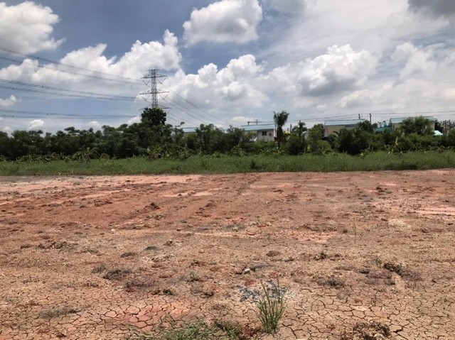 TD567ขายที่ดินแปลงงาม :  ปทุมธานีLand With Building For Sale  :  Pathum ThaniFor Sale : 1,240,000 THBทำเลที่ตั้ง :  ตำบลบึงบา อำเภอหนองเสือ ปทุมธานี 12170รายละเอียดทรัพย์ ที่ดินเปล่า พื้นที่ 1 งาน 50 ตร.ว.ติดถนนคอนกรีต ถมแล้วกว้าง 30 ม. × ลึก 30 ม. น้ำประปา ไฟฟ้าพร้อมสถานที่สำคัญใกล้เคียงโลตัส รังสิต คลอง 7มหาวิทยาลัยการกีฬาแห่งชาติ โรงพยาบาลหนองเสือข้อมูลเพิ่มเติม/สนใจนัดชม0646654666 Khun.Kreing ( เกรียง )0801532451Line : @land666 (มี @ ด้านหน้าด้�