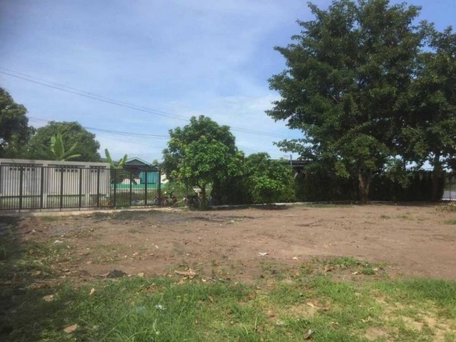 TD561ขายที่ดินแปลงงาม :  สามโคก ปทุมธานีLand With Building For Sale  :  Sam Khok Pathum ThaniFor Sale : 15,000,000 THBทำเลที่ตั้ง :  ตำบลบ้านงิ้ว อำเภอสามโคก ปทุมธานี 12160รายละเอียดทรัพย์ ที่ดินเปล่า พื้นที่ 1 งาน 99 ตร.ว.ที่ดินติดแม่น้ำเจ้าพระยาปรับถมที่ดินแล้ว พร้อมรั้วความกว้างติดแม่น้ำเจ้าพระยา 18 ม.ความกว้างด้านซ้าย 30.3 ม. /ด้านขวา 37 ม.สถานที่สำคัญใกล้เคียงแม็คโคร ปทุมธานี,ตลาดสามโคกโรงเรียนสามโคกโรงพยาบาลปทุมธ