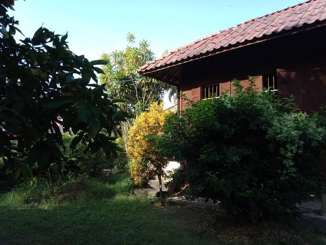 ขายบ้านพร้อมที่ดิน ขนาด 336 ตารางวา อำเภอสารภี จังหวัดเชียงใหม่