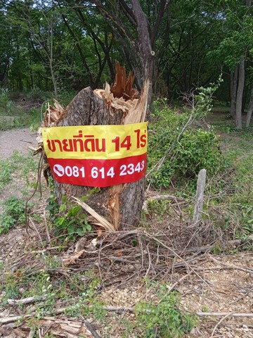 ขายที่ดิน อ.ชัยบาดาล จ.ลพบุรี  14 ไร่1งาน60ตรว. (เจ้าของขายเอง)  ไร่ล่ะ 300,000฿