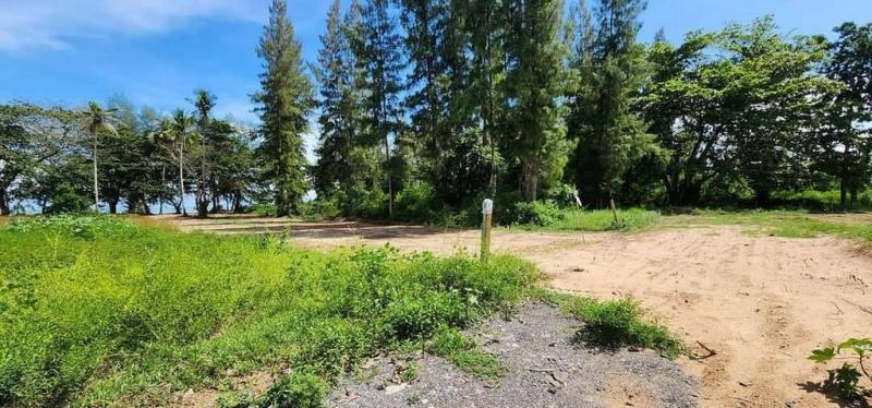 ขายที่ดินวิวสวยหน้าติดทะเลราคาดีเดินทางสะดวก หาดละเเมชุมพร