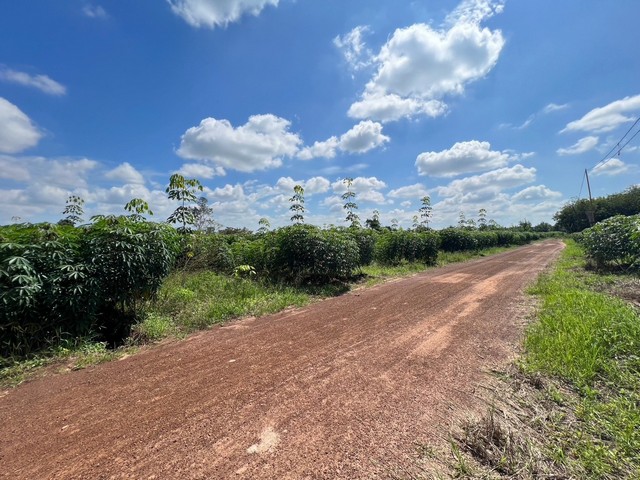 ที่ดินแปลงใหญ่สวยมาก มีหลายแปลง ต.ตาเกา อ.น้ำขุ่น จ.อุบลราชธานีติดทางสาธารณะ มีไฟฟ้าเข้าถึง เจาะบ่อบาดาลแล้วเรียบร้อย ราคาต่อรองได้ รับนายหน้า-----------ขายยกแปลง 4 โฉนด 115 ไร่ 2 งาน 68 ตารางวา------ ราคา 170,000 บาท/ไร่1. ที่ดิน 4844 ขนาด 19 ไร่ 3 งาน 68 ตารางวา2. ที่ดิน 4539 ขนาด 35 ไร่ 1 งาน 31 ตารางวา3. ที่ดิน 4538 ขนาด 40 ไร่ 1 งาน 89 ตารางวา4. ที่ดิน 4865 ขนาด 19 ไร่ 3 งาน 80 ตารางวา---------------แบ่งขายที่ดิน -------------------5. ที่ด