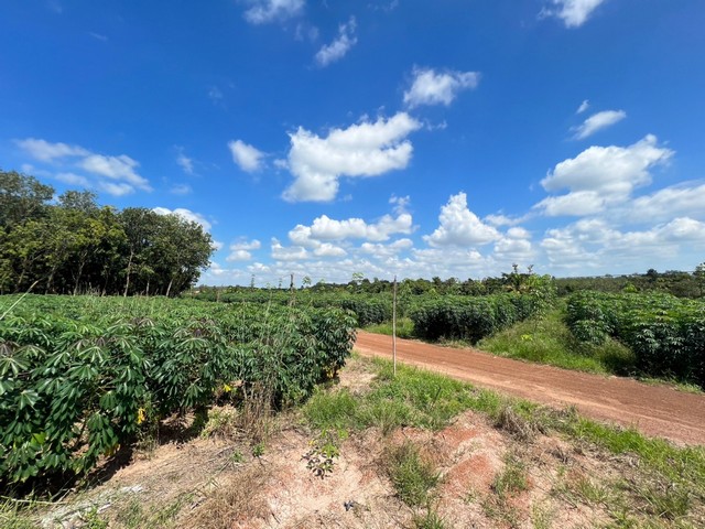 ที่ดินแปลงใหญ่สวยมาก มีหลายแปลง ต.ตาเกา อ.น้ำขุ่น จ.อุบลราชธานี ติดทางสาธารณะ มีไฟฟ้าเข้าถึง