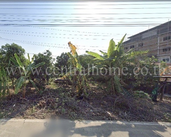 ที่ดินเปล่า 680 ตารางวา คลองควาย สามโคก ปทุมธานี ใกล้ศาลากลางปทุมธานี