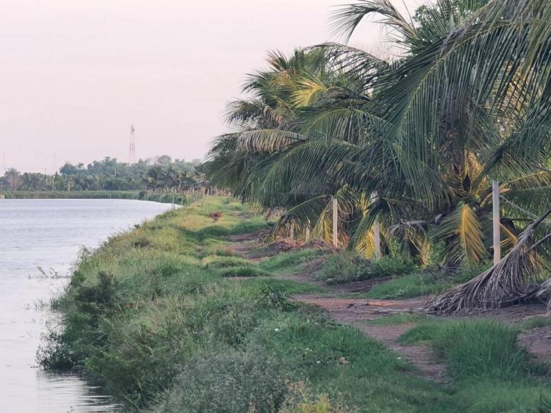 EPL-LS0270 ขายที่ดินเปล่า 29 ไร่ 1 งาน 29 ตารางวา ติดแม่น้ำบางประกง อำเภอองครักษ์ นครนายก ถนนโยธาธิการ ใกล้ถนนทางหลวงหมายเลข4002